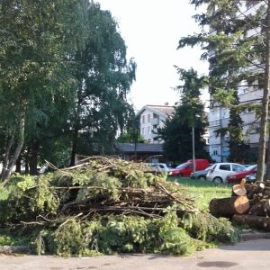 Грађанска патрола: Највише пријава за оштећено дрвеће