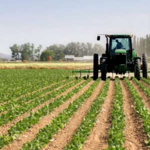 Подршка пољопривреди: Подстицаји за 402 пољопривредника