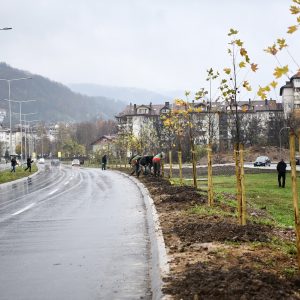 Novi drvored: Banja Luka dobila „Aleju Solunaca“