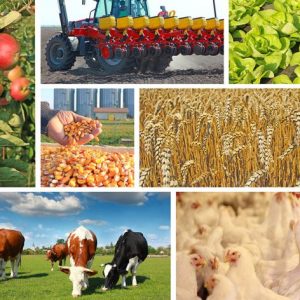 Јавни позив: Додјела подстицаја и премија за развој пољопривредне производње