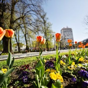 Rekordnih 135 prijava za „Proljeće u Banjaluci“