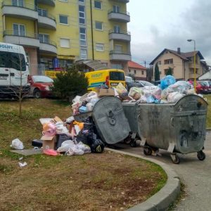 „Грађанска патрола“: Поново проблеми са депонијама уз контејнере