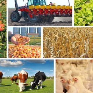 Обавјештење пољопривредним произвођачима о јавном позиву за мјере подршке