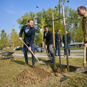 Banja Luka grad zelenila: Aleja platana uz tranzit donacija Misije OEBS–a