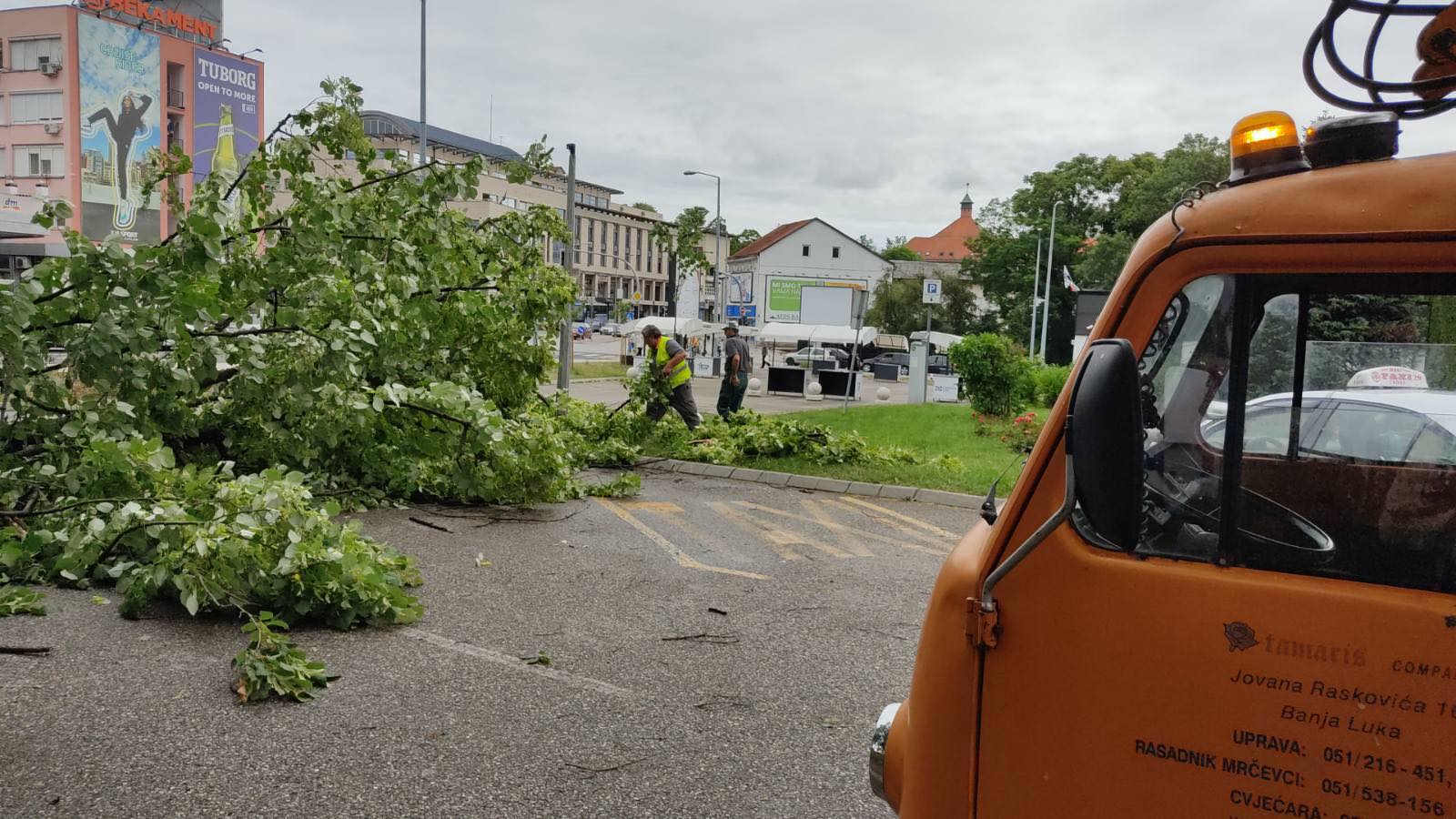 Oštećeno više stabala: Sanirane posljedice olujnog nevremena