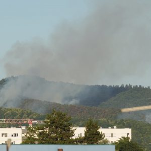 Ватрогасци и даље на терену: Пожар на Врбањским брдима под контролом, имовина грађана није угрожена