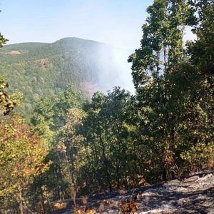 Vatrogasci i dalje na Vrbanjskim brdima: Požar pod kontrolom, ne ugrožava domaćinstva