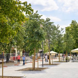 Otvoren dio pješačke zone u centru, zasađena i nova stabla