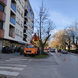 Почела реконструкција дрвореда на Булевару Степе Степановића: Уклањање стабала због безбједности, наредне седмице биће засађена нова