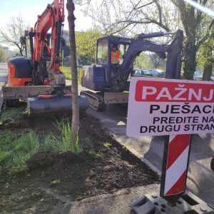Велика акција: Почела садња 110 садница у дрвореду на Булевару Степе Степановића