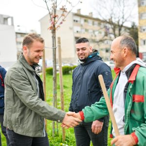 Ко гради, тај и сади: Булевар Степе Степановића биће богатији за преко 100 нових садница